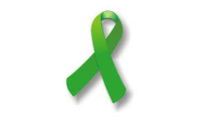 Stužkové slávnosti 2025