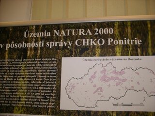 Galériu pripravila Mgr. Alena Slobodníková